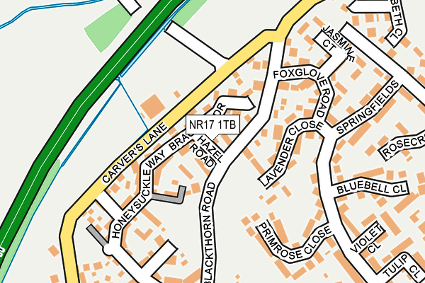 NR17 1TB map - OS OpenMap – Local (Ordnance Survey)