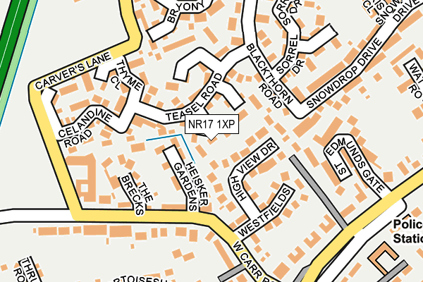 NR17 1XP map - OS OpenMap – Local (Ordnance Survey)