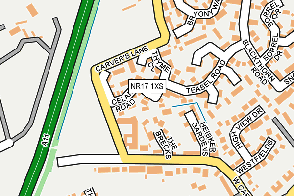 NR17 1XS map - OS OpenMap – Local (Ordnance Survey)