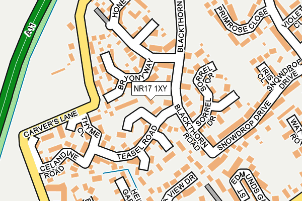 NR17 1XY map - OS OpenMap – Local (Ordnance Survey)