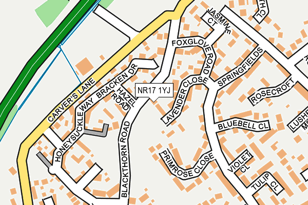 NR17 1YJ map - OS OpenMap – Local (Ordnance Survey)