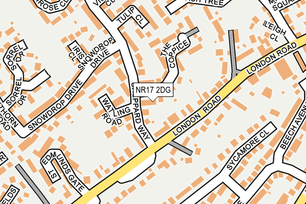 NR17 2DG map - OS OpenMap – Local (Ordnance Survey)