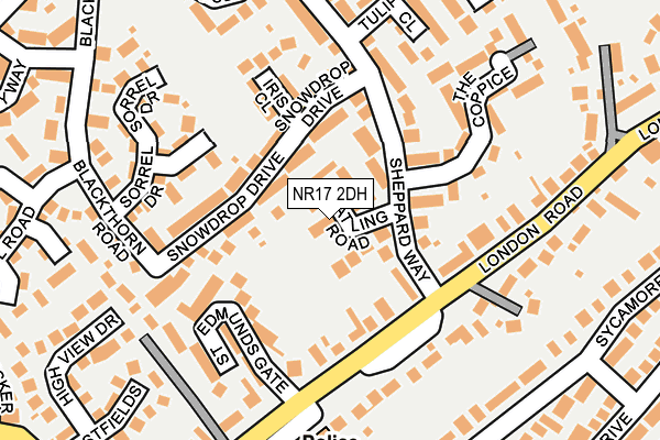 NR17 2DH map - OS OpenMap – Local (Ordnance Survey)