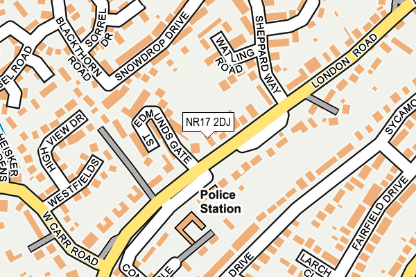 NR17 2DJ map - OS OpenMap – Local (Ordnance Survey)