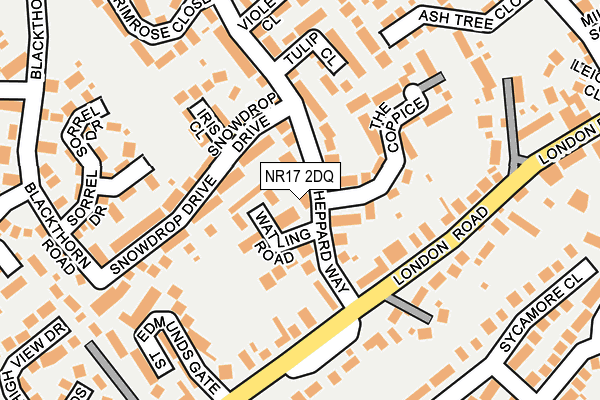 NR17 2DQ map - OS OpenMap – Local (Ordnance Survey)