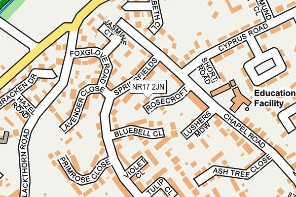 NR17 2JN map - OS OpenMap – Local (Ordnance Survey)