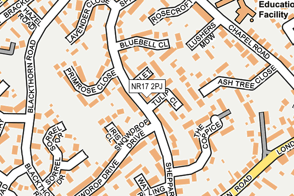NR17 2PJ map - OS OpenMap – Local (Ordnance Survey)