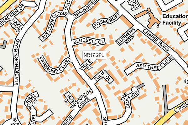 NR17 2PL map - OS OpenMap – Local (Ordnance Survey)