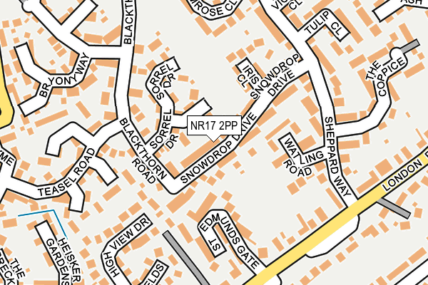 NR17 2PP map - OS OpenMap – Local (Ordnance Survey)