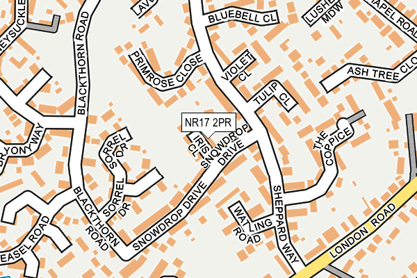 NR17 2PR map - OS OpenMap – Local (Ordnance Survey)