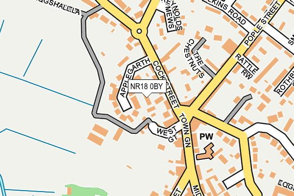 NR18 0BY map - OS OpenMap – Local (Ordnance Survey)