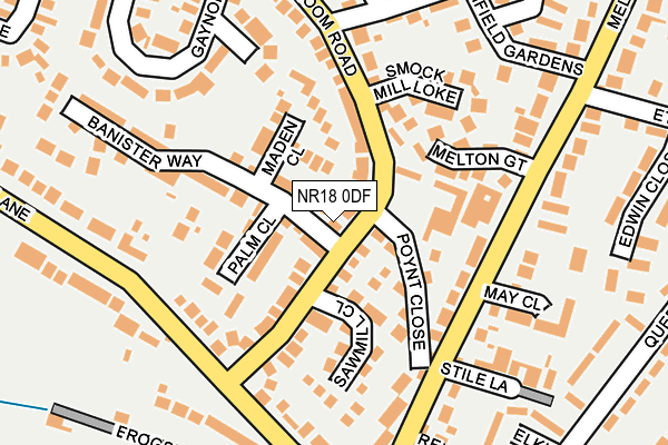 NR18 0DF map - OS OpenMap – Local (Ordnance Survey)