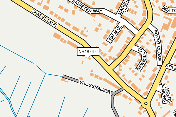 NR18 0DJ map - OS OpenMap – Local (Ordnance Survey)