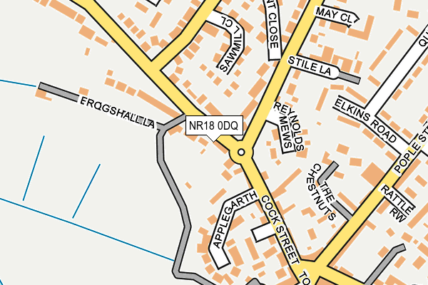 NR18 0DQ map - OS OpenMap – Local (Ordnance Survey)