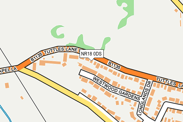 NR18 0DS map - OS OpenMap – Local (Ordnance Survey)
