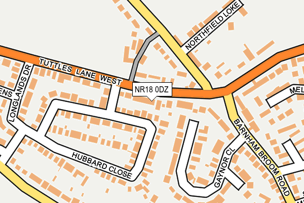 NR18 0DZ map - OS OpenMap – Local (Ordnance Survey)