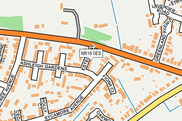 NR18 0ES map - OS OpenMap – Local (Ordnance Survey)