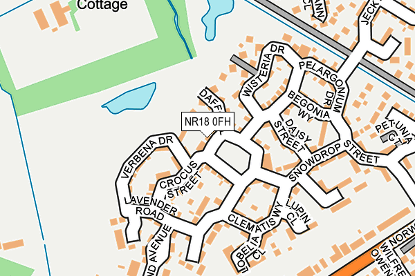 NR18 0FH map - OS OpenMap – Local (Ordnance Survey)