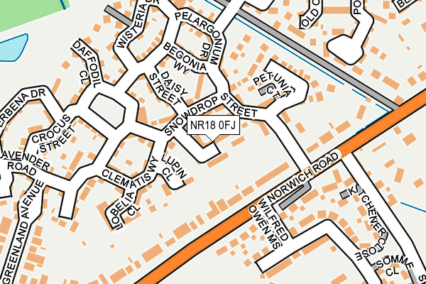 NR18 0FJ map - OS OpenMap – Local (Ordnance Survey)
