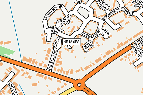 NR18 0FS map - OS OpenMap – Local (Ordnance Survey)