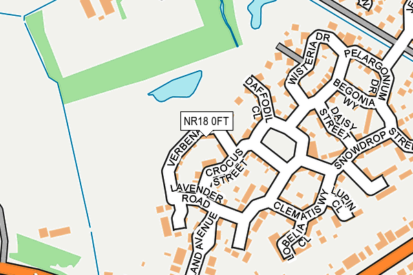 NR18 0FT map - OS OpenMap – Local (Ordnance Survey)