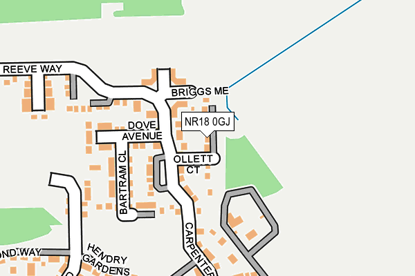 NR18 0GJ map - OS OpenMap – Local (Ordnance Survey)