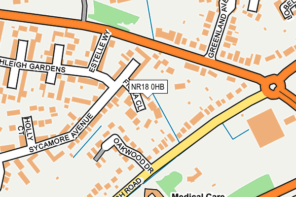 NR18 0HB map - OS OpenMap – Local (Ordnance Survey)