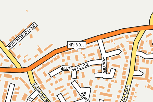 NR18 0JJ map - OS OpenMap – Local (Ordnance Survey)
