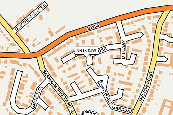 NR18 0JW map - OS OpenMap – Local (Ordnance Survey)
