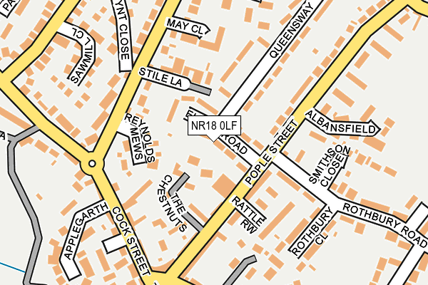 NR18 0LF map - OS OpenMap – Local (Ordnance Survey)