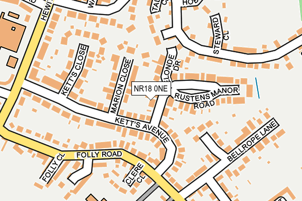 NR18 0NE map - OS OpenMap – Local (Ordnance Survey)