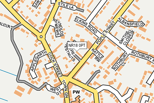 NR18 0PT map - OS OpenMap – Local (Ordnance Survey)