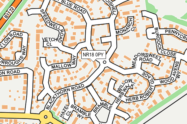 NR18 0PY map - OS OpenMap – Local (Ordnance Survey)