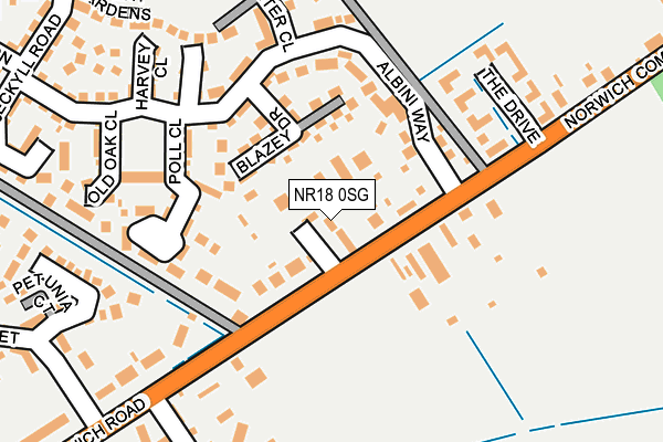 NR18 0SG map - OS OpenMap – Local (Ordnance Survey)