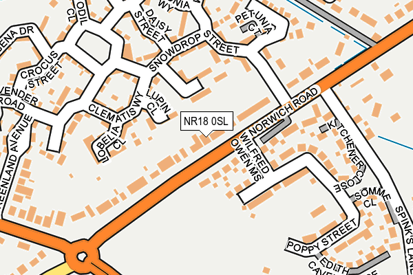 NR18 0SL map - OS OpenMap – Local (Ordnance Survey)