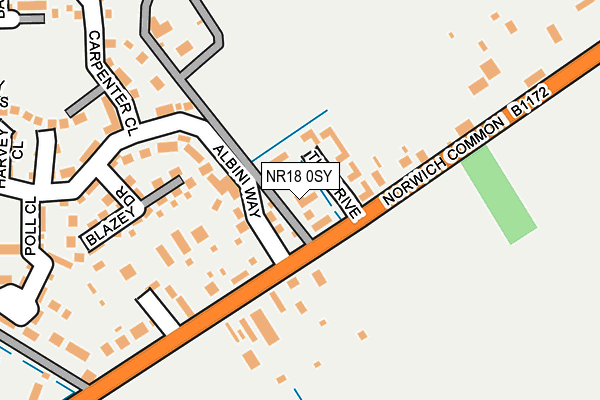 NR18 0SY map - OS OpenMap – Local (Ordnance Survey)