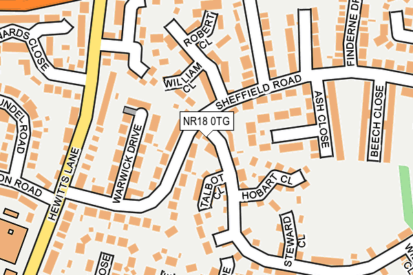 NR18 0TG map - OS OpenMap – Local (Ordnance Survey)