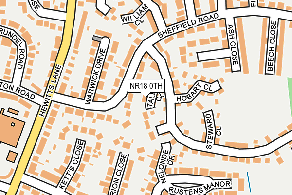 NR18 0TH map - OS OpenMap – Local (Ordnance Survey)