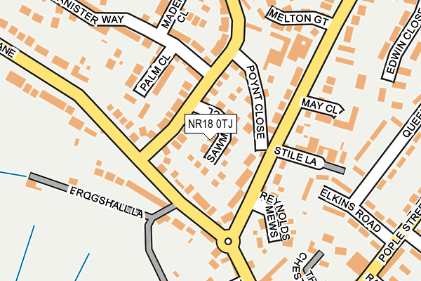 NR18 0TJ map - OS OpenMap – Local (Ordnance Survey)