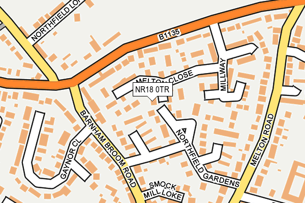 NR18 0TR map - OS OpenMap – Local (Ordnance Survey)
