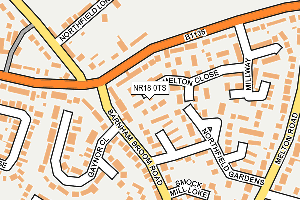 NR18 0TS map - OS OpenMap – Local (Ordnance Survey)