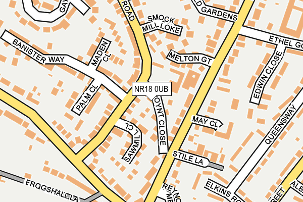 NR18 0UB map - OS OpenMap – Local (Ordnance Survey)