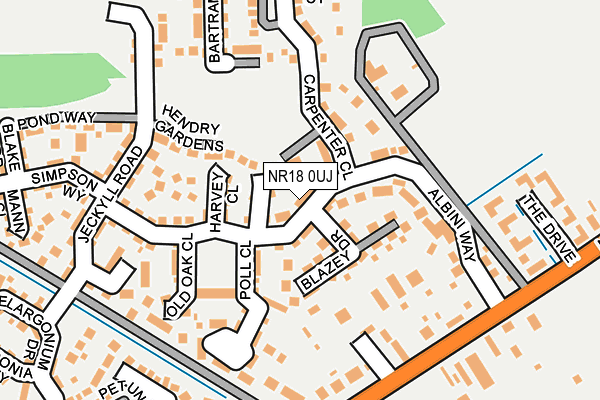 NR18 0UJ map - OS OpenMap – Local (Ordnance Survey)