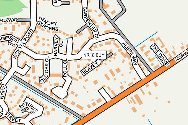 NR18 0UY map - OS OpenMap – Local (Ordnance Survey)