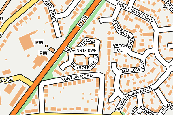 NR18 0WE map - OS OpenMap – Local (Ordnance Survey)