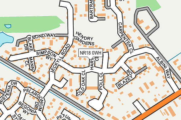 NR18 0WH map - OS OpenMap – Local (Ordnance Survey)