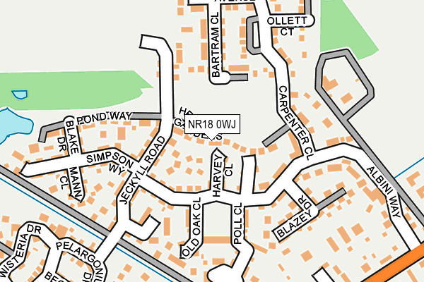 NR18 0WJ map - OS OpenMap – Local (Ordnance Survey)