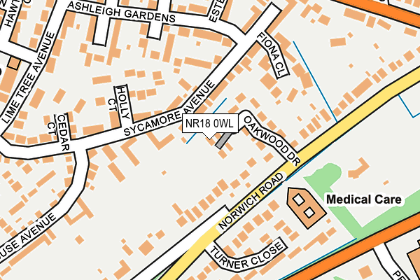 NR18 0WL map - OS OpenMap – Local (Ordnance Survey)