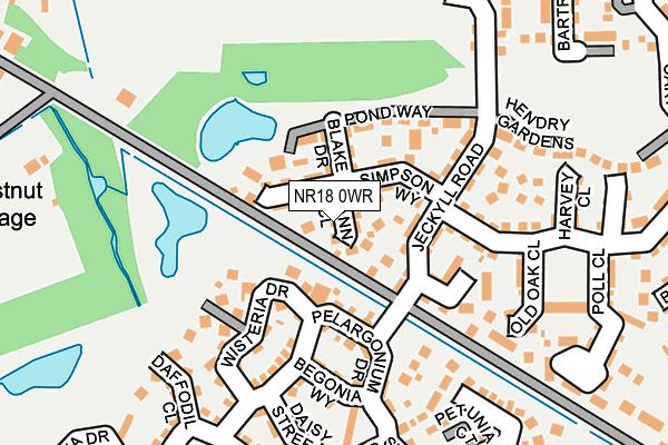 NR18 0WR map - OS OpenMap – Local (Ordnance Survey)