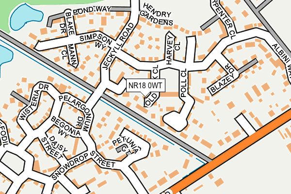 NR18 0WT map - OS OpenMap – Local (Ordnance Survey)